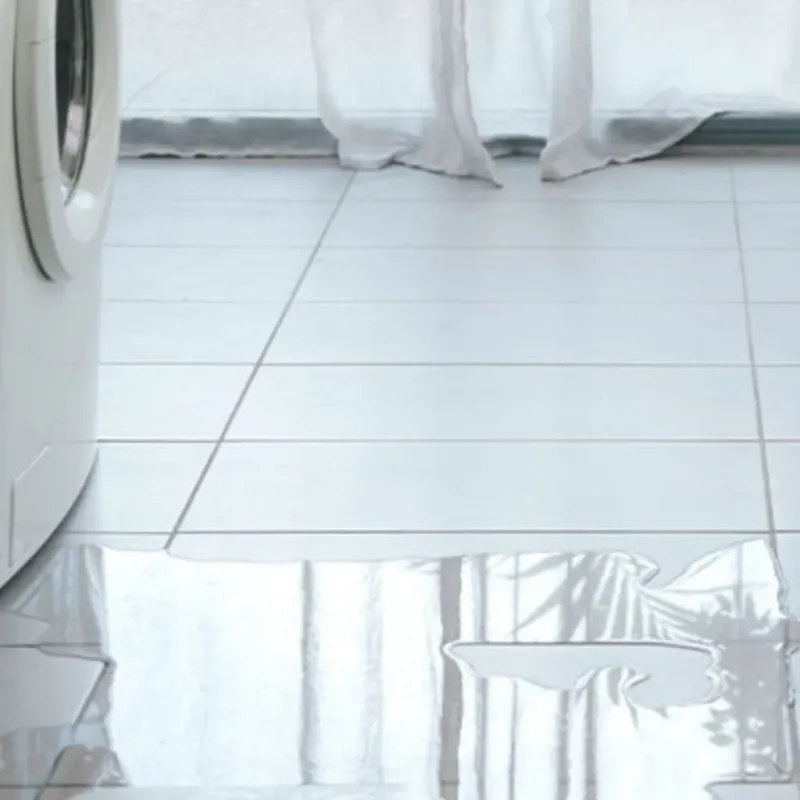 Appliance Leak Cleanup in Swepsonville, NC
