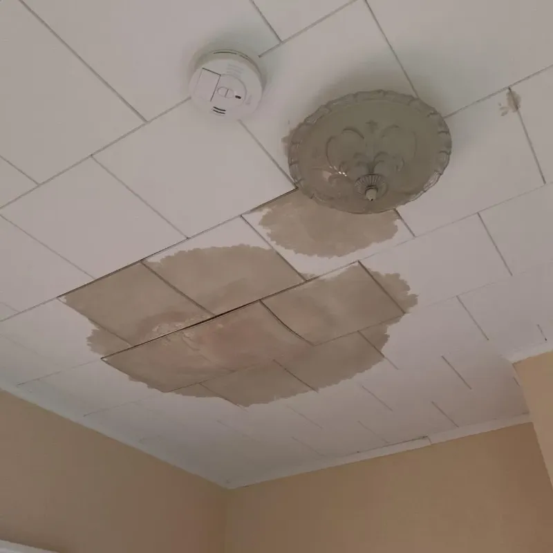 Ceiling Water Damage Repair in Swepsonville, NC
