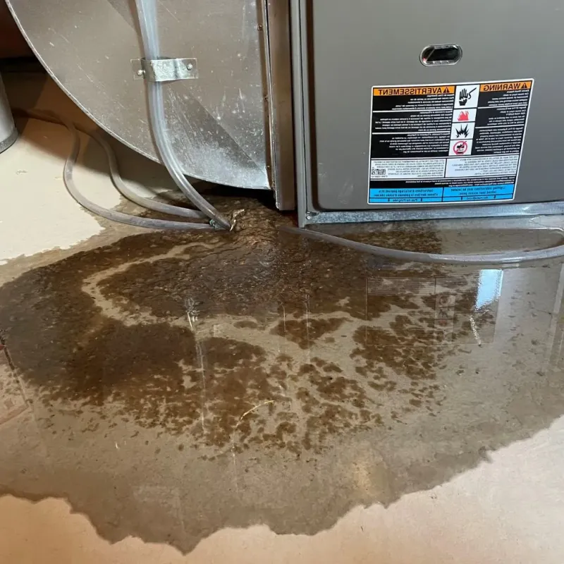 Pipe Burst and Leak Restoration in Swepsonville, NC