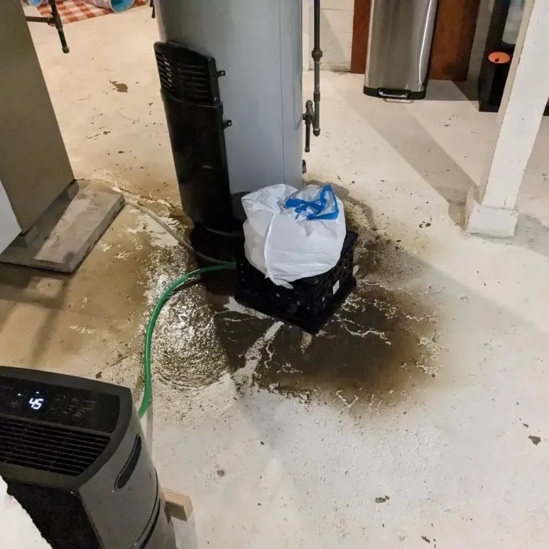 Sewage Backup Cleanup Service in Swepsonville, NC